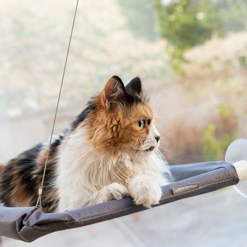 Hanging Cat Window Hammock – Space Saving Window Perch for Cats | Catlax InnovaGoods